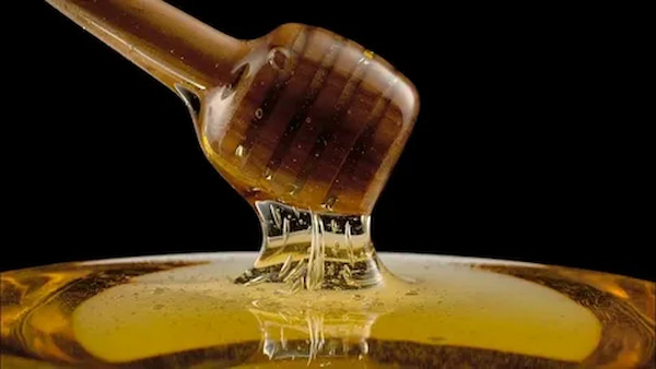 تصویر 4 از خرید و قیمت عسل گون باکیفیت + فروش عمده